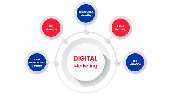 Best SEO & Digital Marketing Services In India