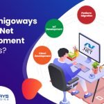 Best Dot Net Development Services From Amigoways